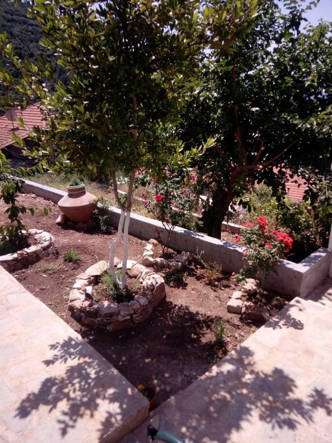 Dimitra'S Garden Villa Kallirakhi Luaran gambar