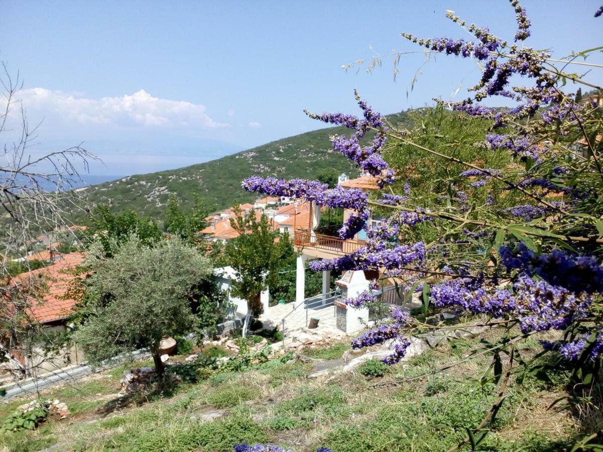 Dimitra'S Garden Villa Kallirakhi Luaran gambar